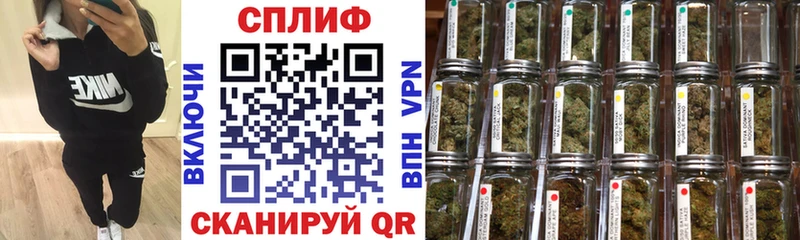 как найти   Дубовка  Бошки марихуана VHQ 